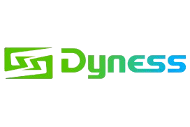 Dyness