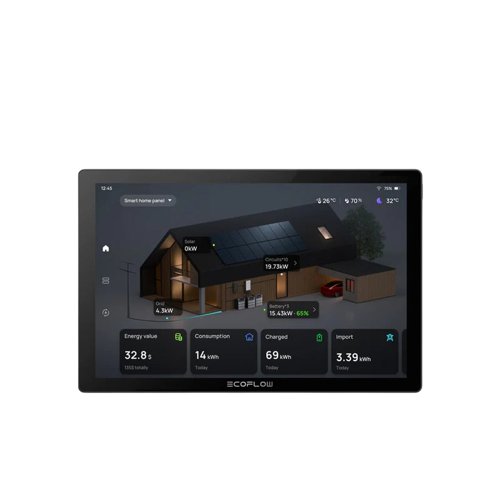 EcoFlow PowerInsight 2