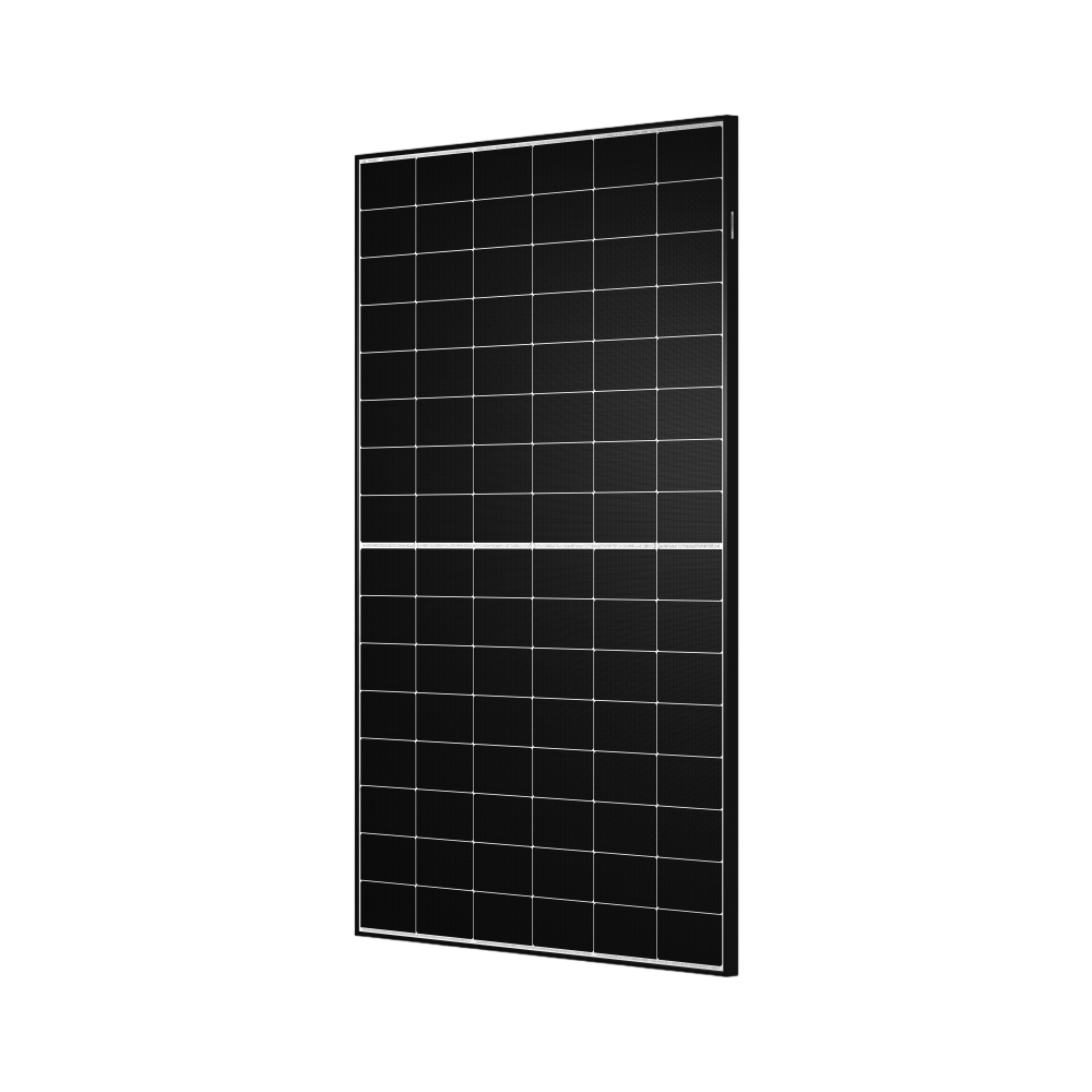 Tongwei TWMNH-48HW 460 Wp Glas-Glas-Solarmodul Black Frame