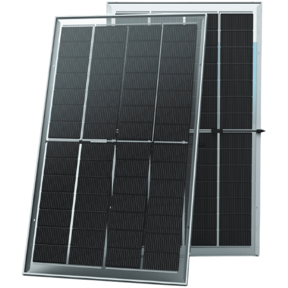 Trina Solar Honey NEG9M4C.26 bifaziales Glas-Glas-Solarmodul – 295 Wp