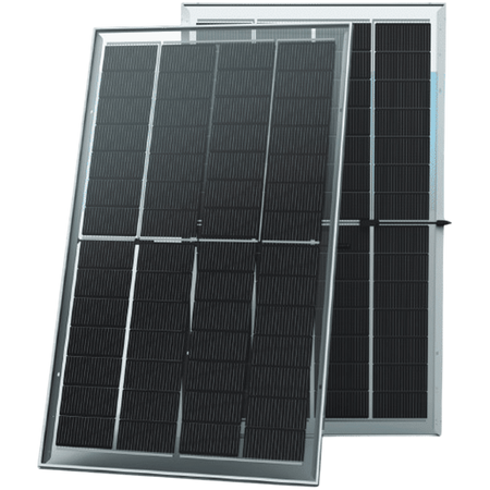 Trina Solar Honey NEG9M4C.26 bifaziales Glas-Glas-Solarmodul – 295 Wp